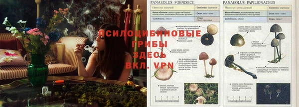 героин Туринск