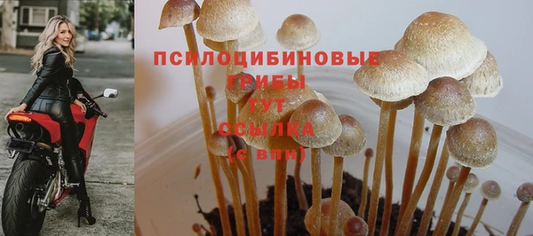 мдпв Верхний Тагил