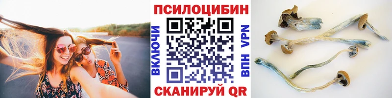 купить наркотик  Северодвинск  OMG зеркало  Галлюциногенные грибы мицелий 