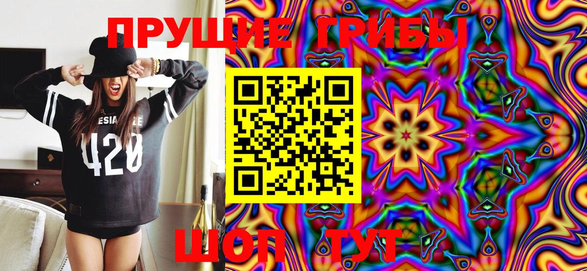 Северодвинск  Галлюциногенные грибы Psilocybine cubensis  Галлюциногенные грибы Magic Shrooms  Вход с VPN 