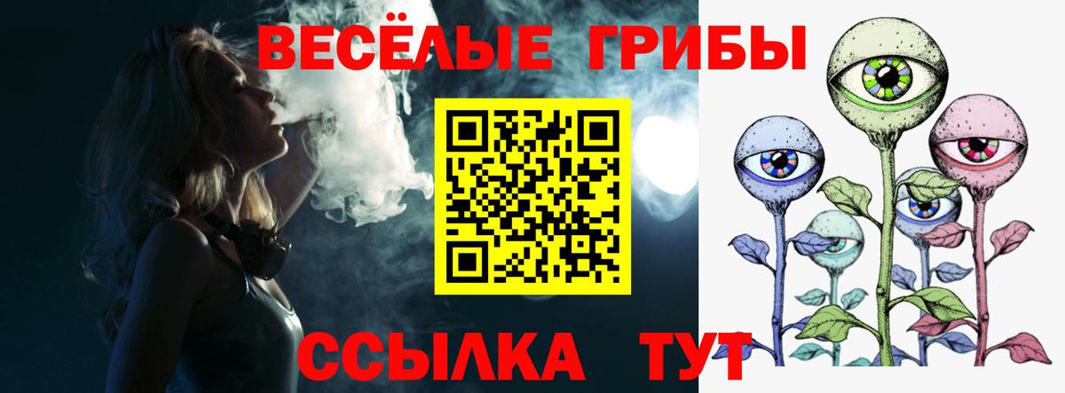 Галлюциногенные грибы Psilocybe Северодвинск